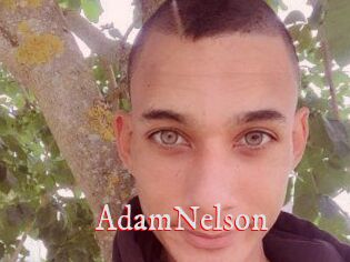 Adam_Nelson