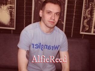 AlfieReed