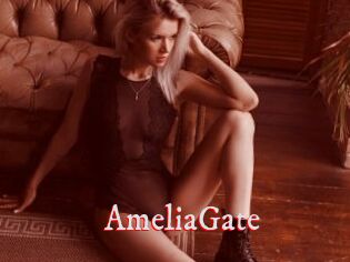 AmeliaGate