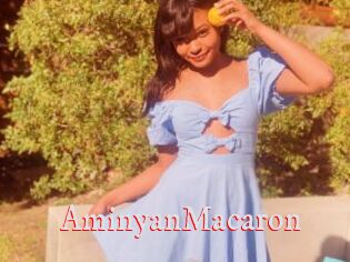AminyanMacaron