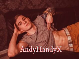 AndyHandyX