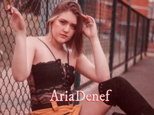 AriaDenef