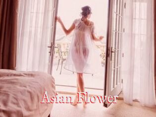 Asian_Flower_ Pornstars Zoe