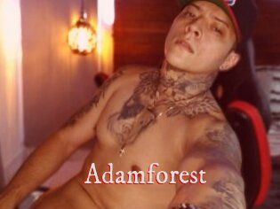 Adamforest