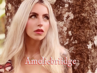Ameliebriidge