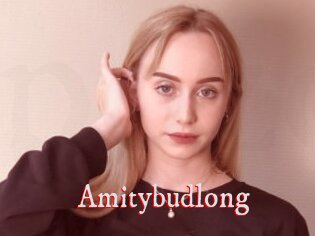 Amitybudlong