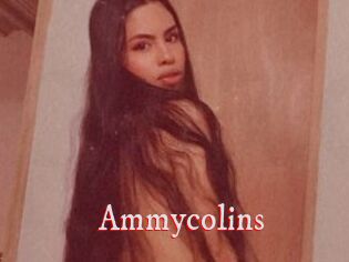 Ammycolins