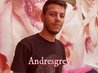 Andresgreys