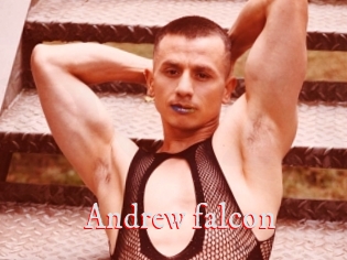 Andrew_falcon