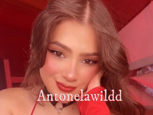 Antonelawildd