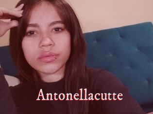 Antonellacutte