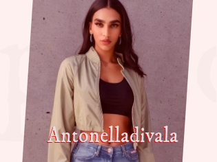 Antonelladivala
