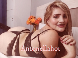 Antonellahot