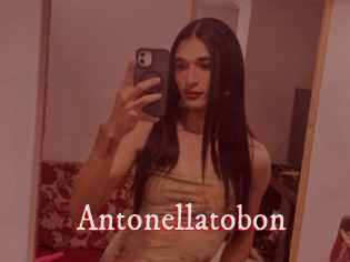 Antonellatobon