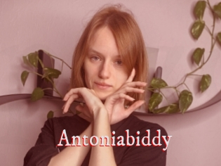 Antoniabiddy