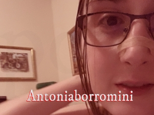 Antoniaborromini