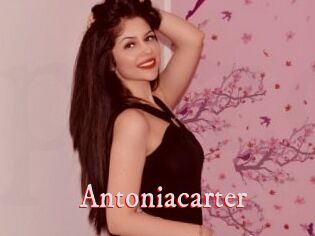 antoniacarter Pornstars Zoe
