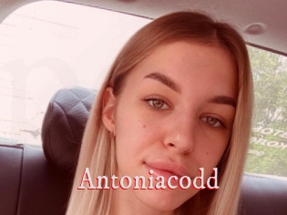 Antoniacodd