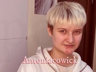 Antoniacowick