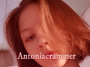 Antoniacrammer