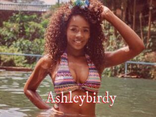 Ashleybirdy
