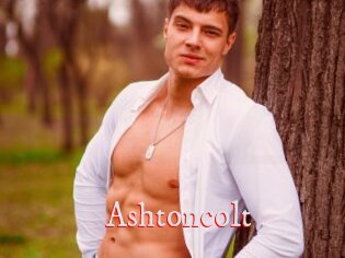Ashtoncolt