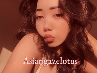 Asiangazelotus