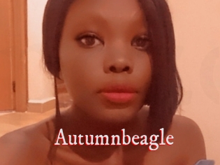 Autumnbeagle
