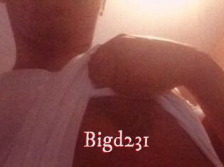 Bigd231