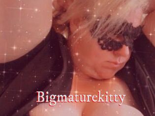 Bigmaturekitty