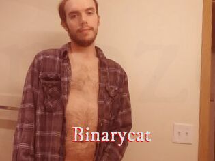 Binarycat