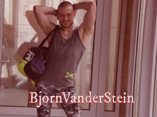 BjornVanderStein