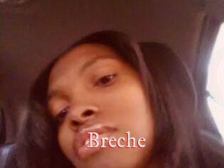 Breche