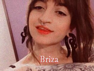 Briza
