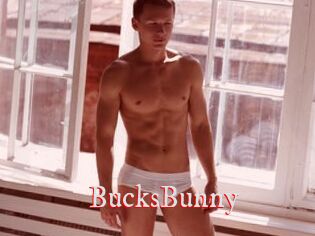 BucksBunny