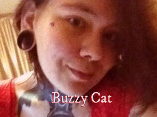 Buzzy_Cat