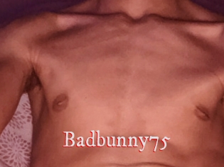 Badbunny75