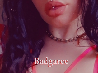 Badgarce