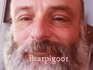 Bearpig001