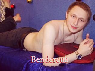 Bendercub