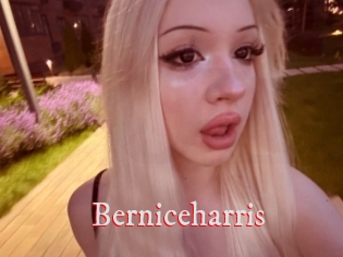 Berniceharris