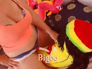 bigbo Pornstars Zoe