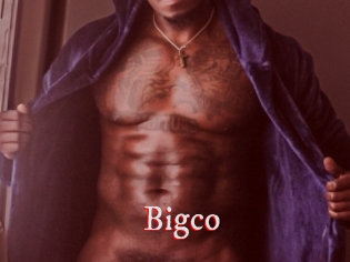 bigco Pornstars Zoe