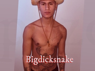 Bigdicksnake