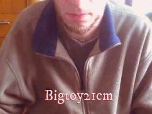 Bigtoy21cm