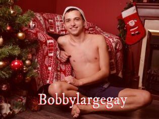 Bobbylargegay
