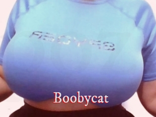 Boobycat