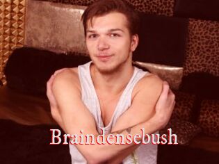 Braindensebush