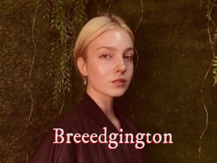 Breeedgington
