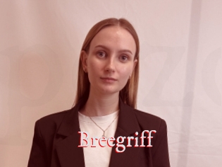Breegriff
